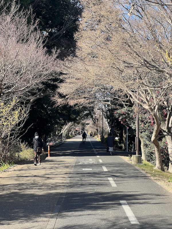 多摩湖自転車歩行者道