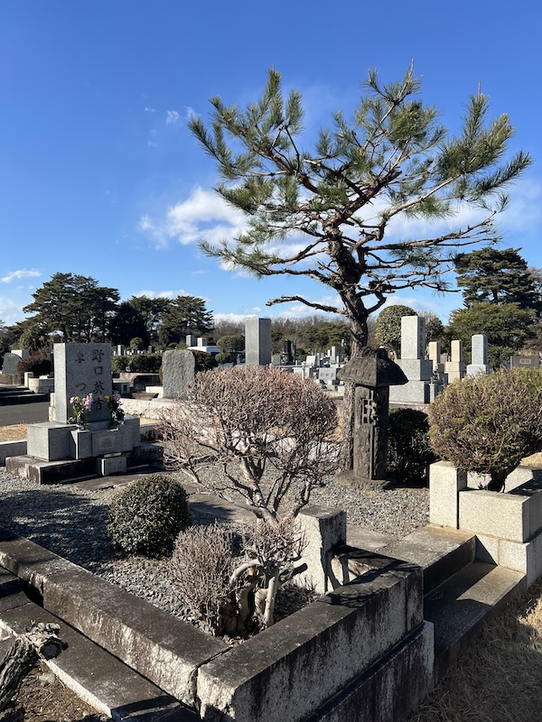 小平霊園のお墓